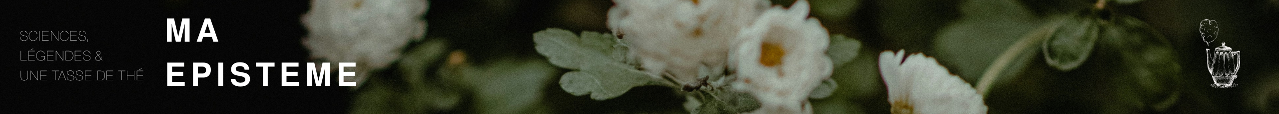 sciences, légendes & une tasse de thé